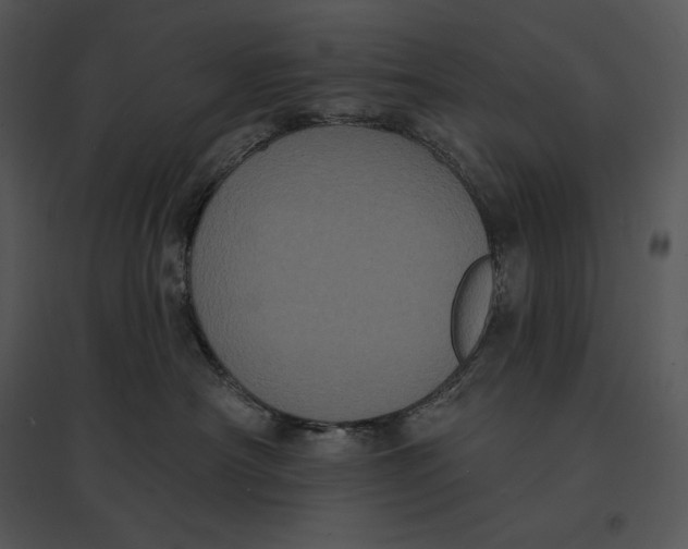 X0000095530430200801041251