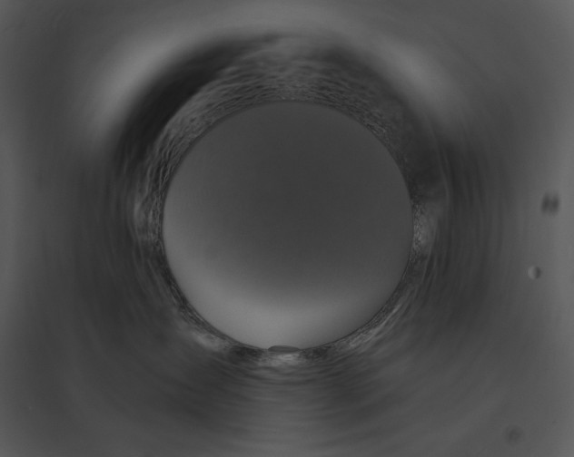 X0000095530431200801041251