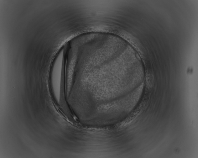 X0000095530434200801041250