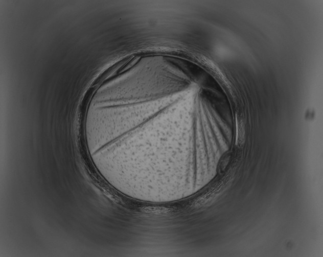 X0000095530435200801041250