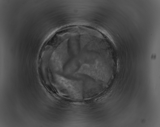 X0000095530436200801041250