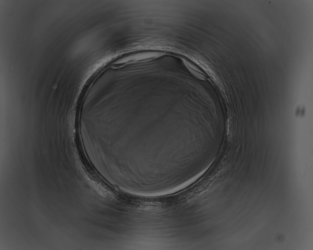 X0000095530438200801041250