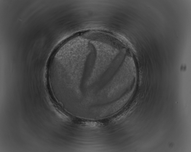 X0000095530439200801041250