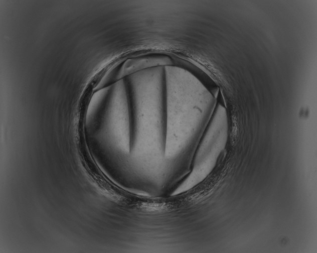 X0000095530440200801041250