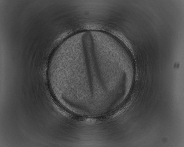 X0000095530441200801041250