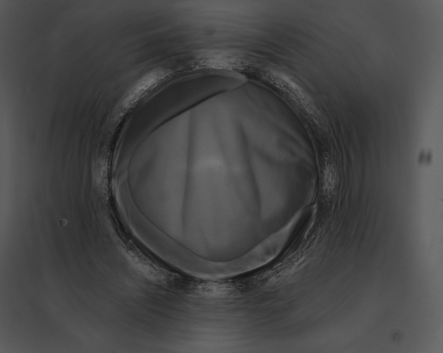 X0000095530444200801041250