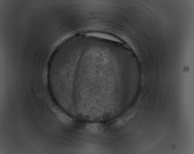 X0000095530446200801041250