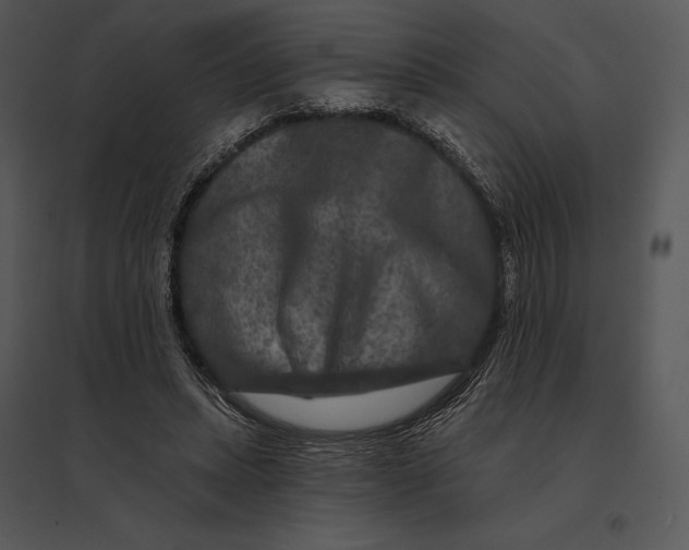 X0000095530447200801041250