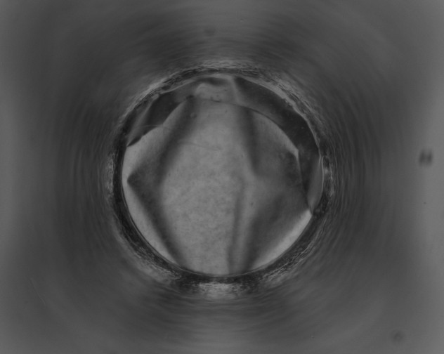 X0000095530448200801041250