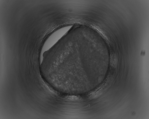 X0000095530449200801041250