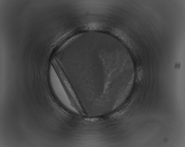 X0000095530450200801041250