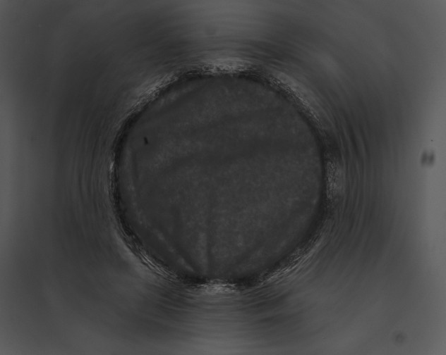 X0000095530451200801041250