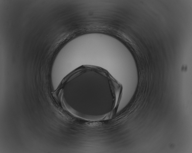 X0000095530452200801041250