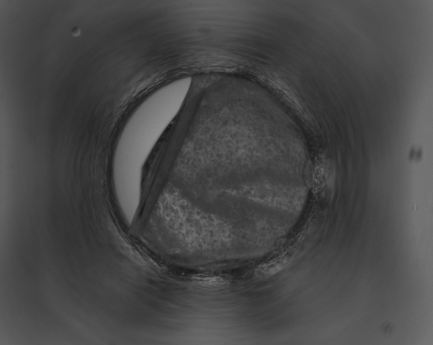 X0000095530454200801041250