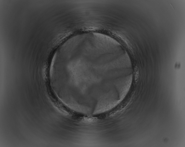 X0000095530455200801041250