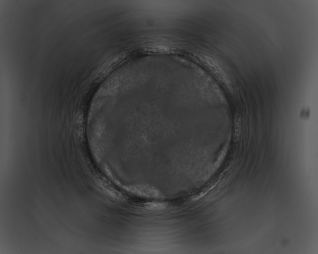 X0000095530457200801041250