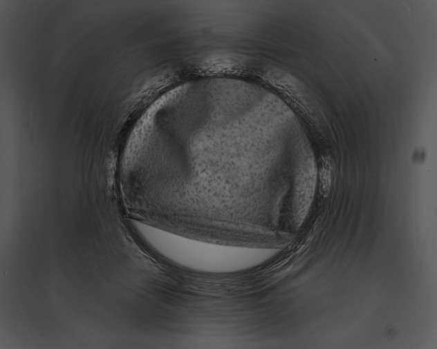 X0000095530458200801041250