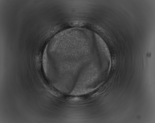 X0000095530460200801041250