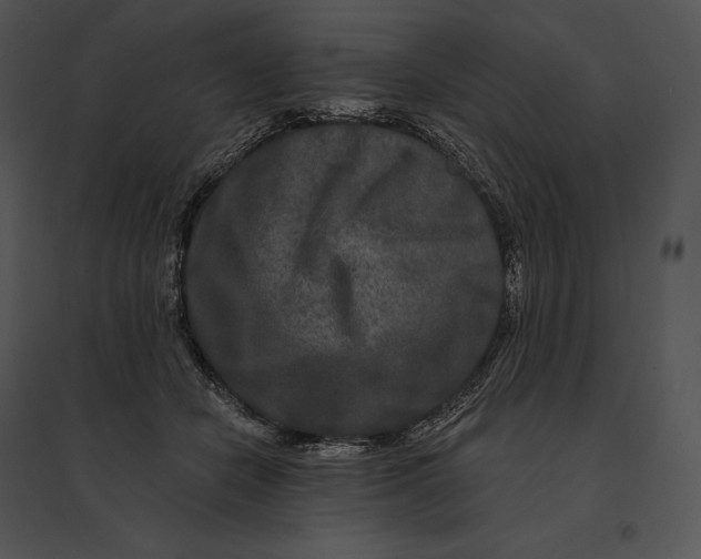 X0000095530462200801041250