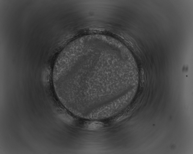 X0000095530463200801041250