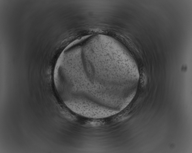 X0000095530466200801041250