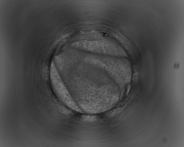 X0000095530469200801041250