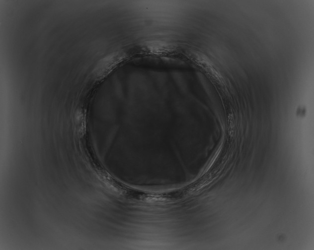 X0000095530471200801041250