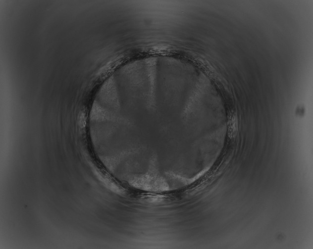 X0000095530472200801041250