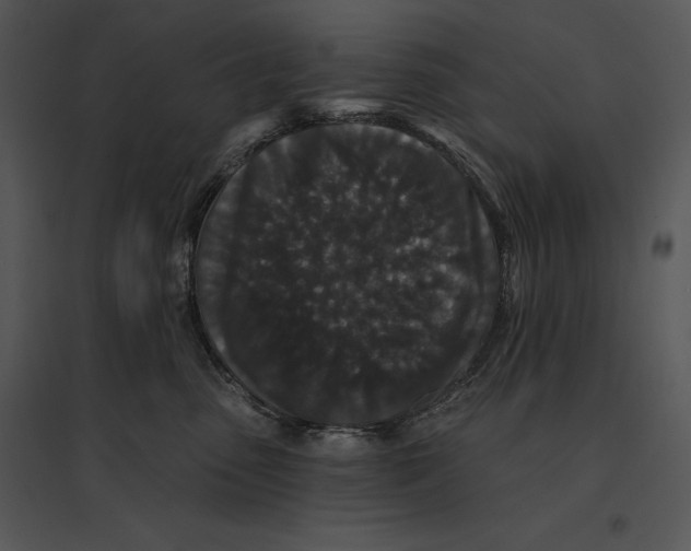 X0000095530475200801041250