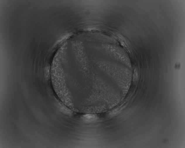 X0000095530477200801041250