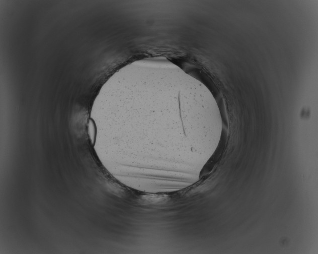 X0000095530480200801041251