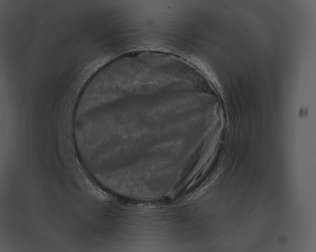 X0000095530481200801041250