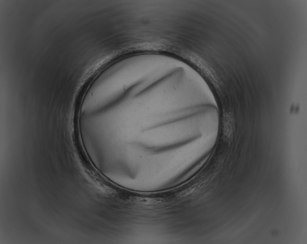 X0000095530486200801041250