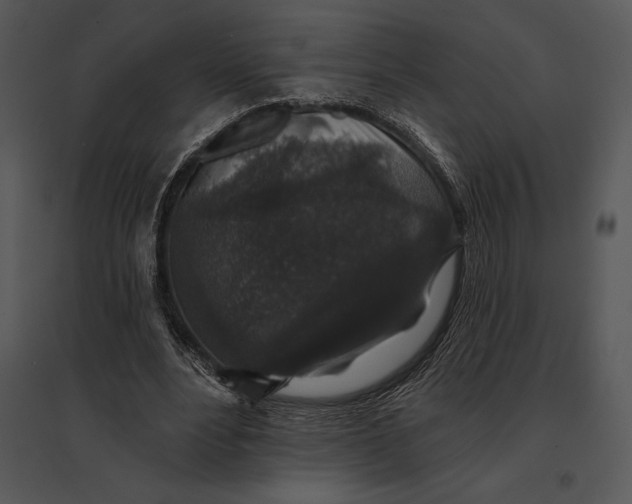 X0000095530488200801041250