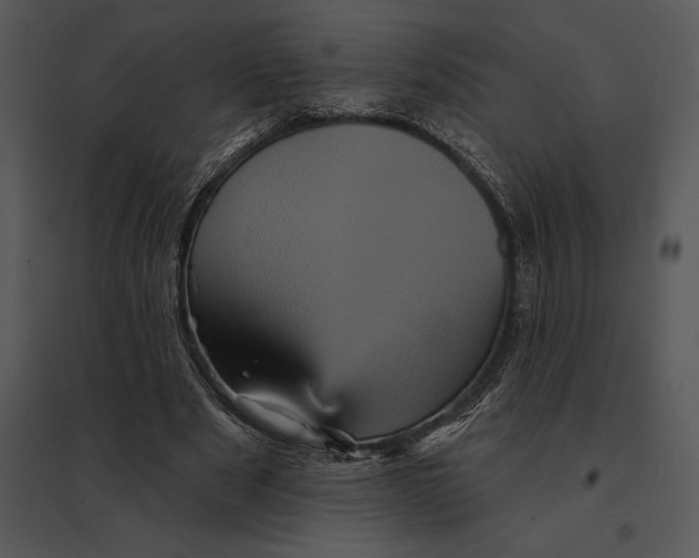 X0000095530489200801041250