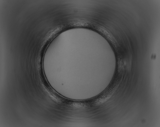 X0000095530490200801041250