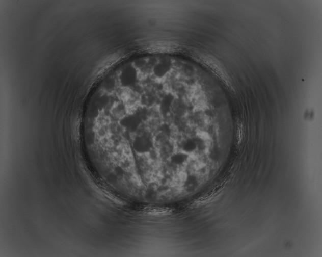 X0000095530491200801041250