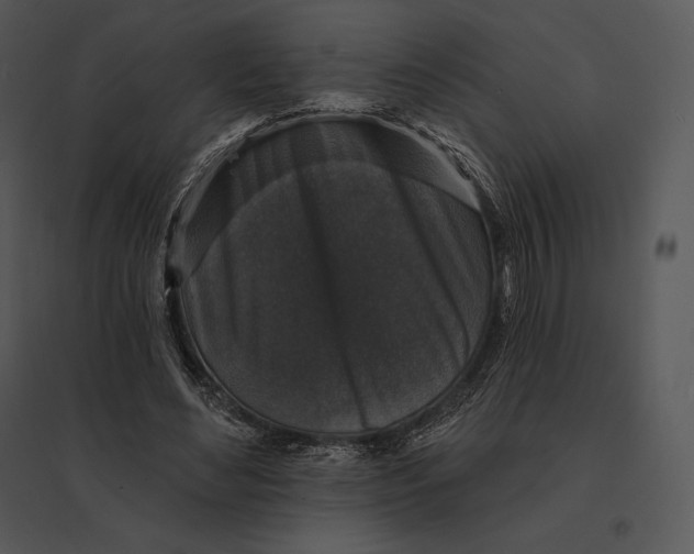 X0000095530492200801041250