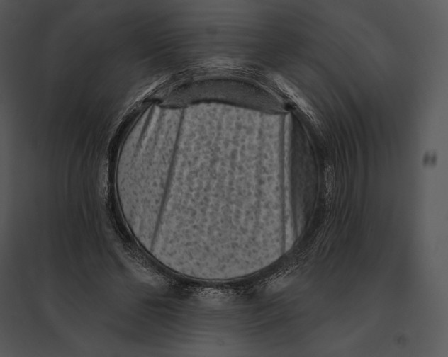 X0000095530494200801041250