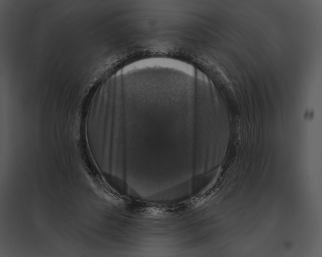 X0000095530496200801041249