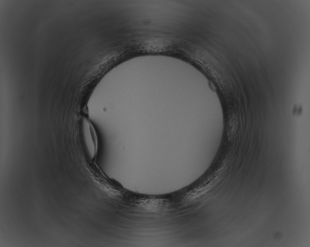 X0000095530497200801041249