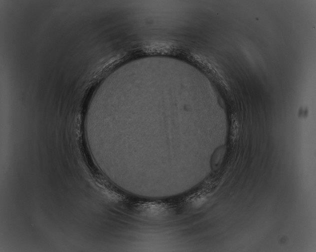 X0000095530498200801041249