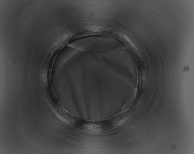 X0000095530500200801041249