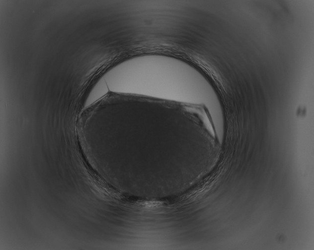 X0000095530501200801041249