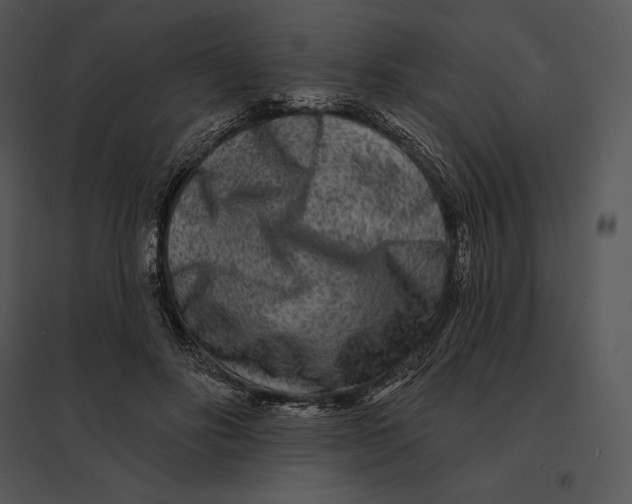 X0000095530502200801041249