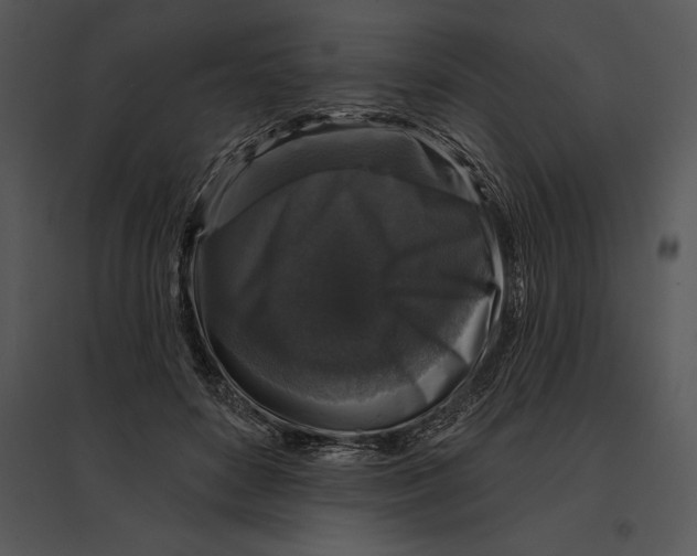 X0000095530504200801041249