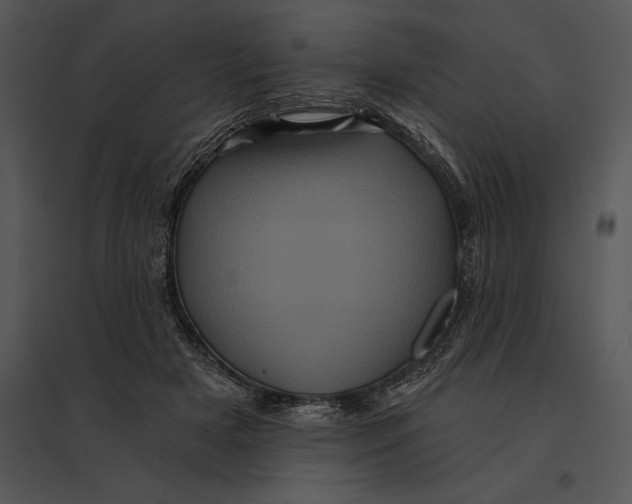 X0000095530505200801041249