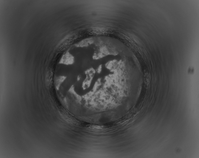 X0000095530507200801041249