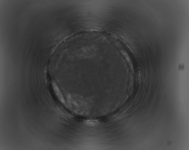 X0000095530508200801041249