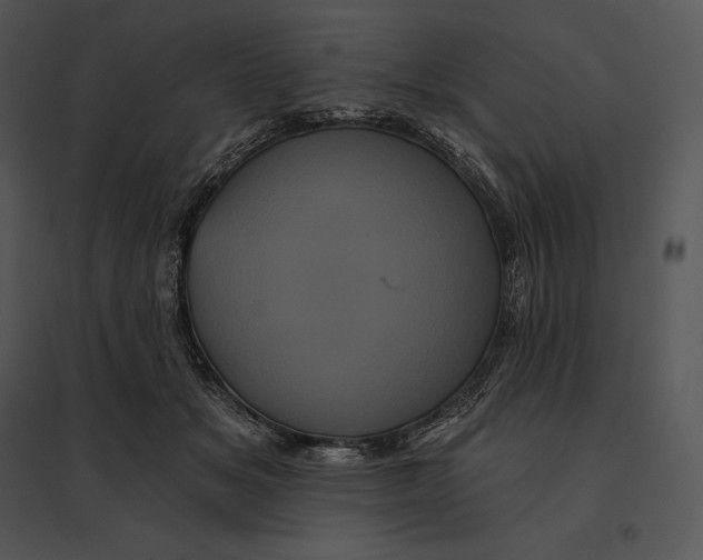 X0000095530509200801041249